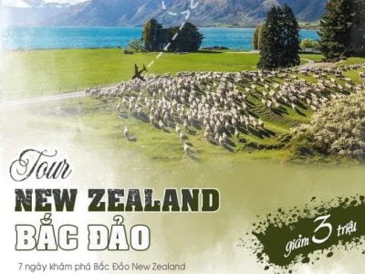 Tour New Zealand