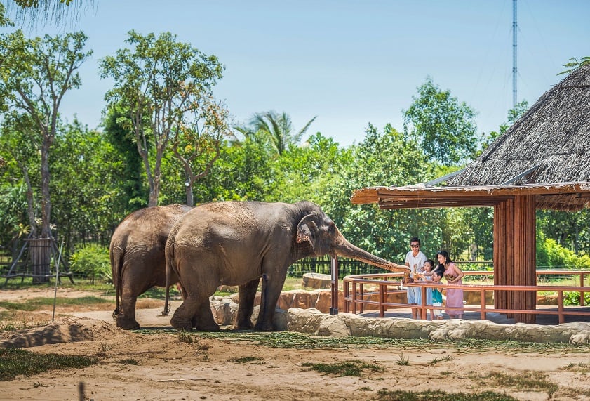 Vui chơi tại VinWonders Nam Hội An
