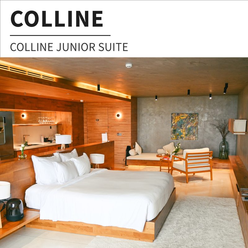 Colline hotel Đà Lạt