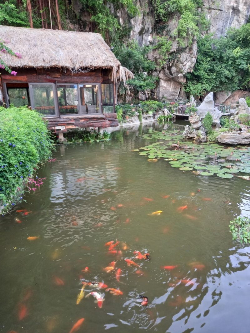 Tam Coc Lion Kings Hotel and Resort